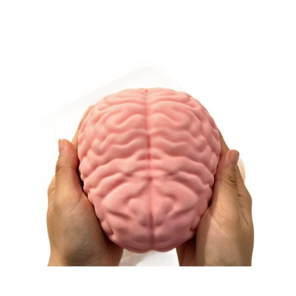 Slow Rising Brain Squishy Toy Simulated Big Brain Model Stress Ball Fidget Toy Prank Gag Gifts