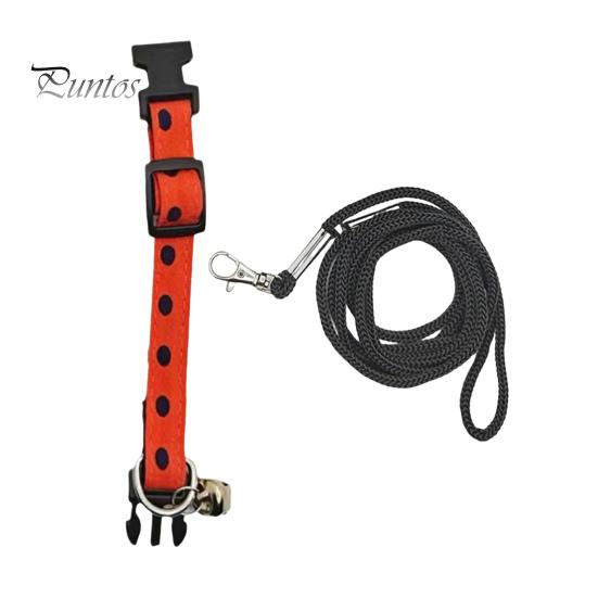 1 комплект поводка для ящерицы, регулируемая тяговая веревка и ошейник для рептилий, прочный удобный поводок для домашних животных для приключений на свежем воздухе