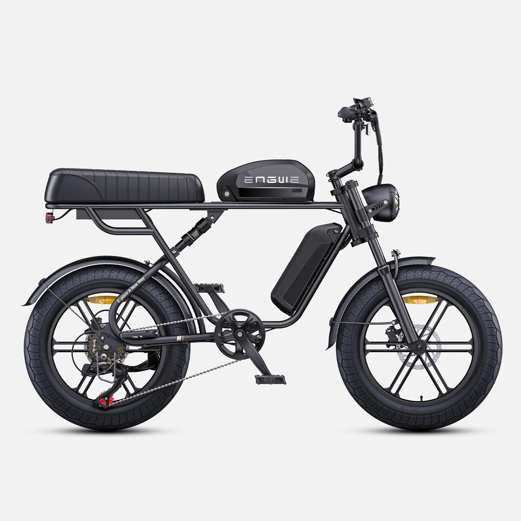 ENGWE M1 Electric Bicycle 250W Motor 48V28.6AH Dual Battery Hydraulic Brake Electric Bike 20*4.0-In Fat Tire All Terrain E-bike