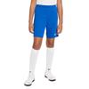 Nike Шорты Dri Fit для подростков, синие, BV6865-463