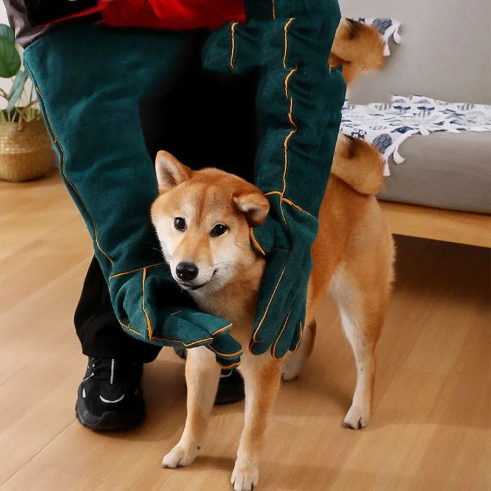 Anti Scratch Pet Anti-Bite Safety Gloves Ultra Long Training Dog Safety Gloves  Bird