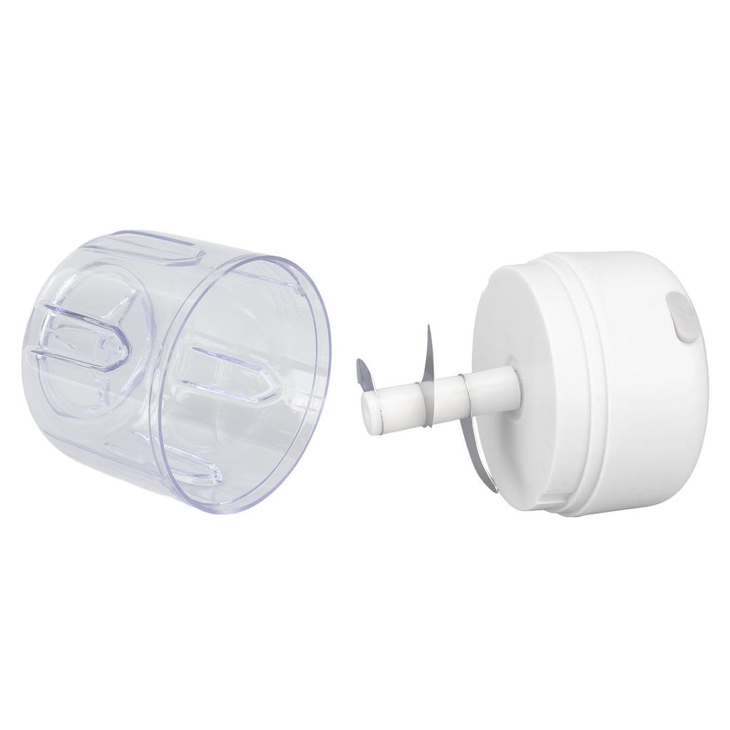 Мини-электрический измельчитель чеснока с большой емкостью и мощным мотором из нержавеющей стали 304, кухонный комбайн 250 мл