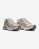 L45406100 Salomon XT-6 Stormshade "Silver Cloud/Cloudburst" (Men's)