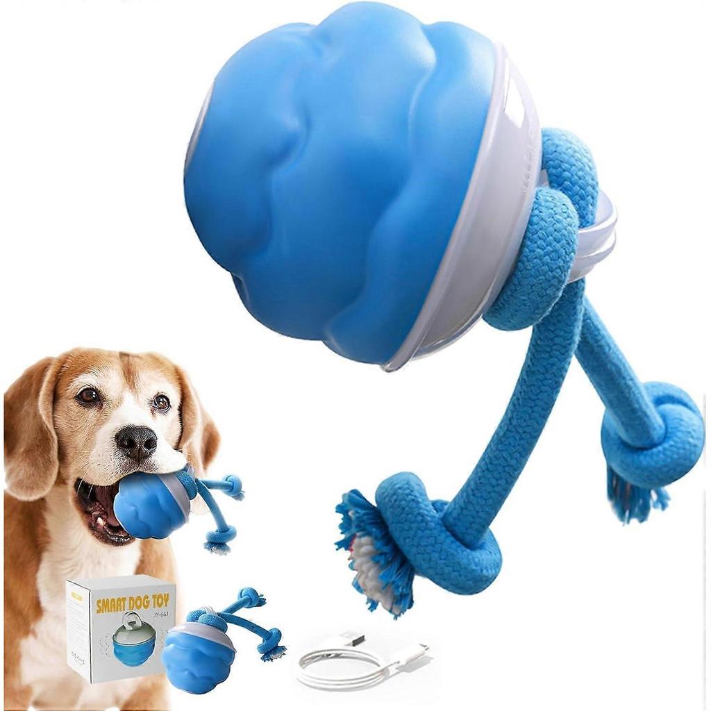 Power Tail 2.0 Interactive Dog Toys, Motion Activated Jumping Ball, Squeaky Dog Toy Active Rolling Ball Wicked Ball for Daily Training