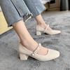 Mary Jane Shoes Women's 2024 New Spring Autumn Winter Shoes Thick Heel High Heels Square Head Fairy Style Korean Versatile Flats