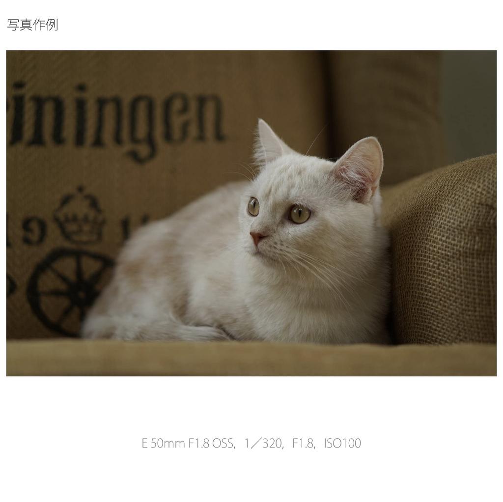 Sony Single Focus Lens E 50mm OSS Format Only F1.8 APS-C