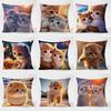 Cute Cat Pattern Decorative Pillowcase Living Room Bedroom Square Cushion Pillowcase