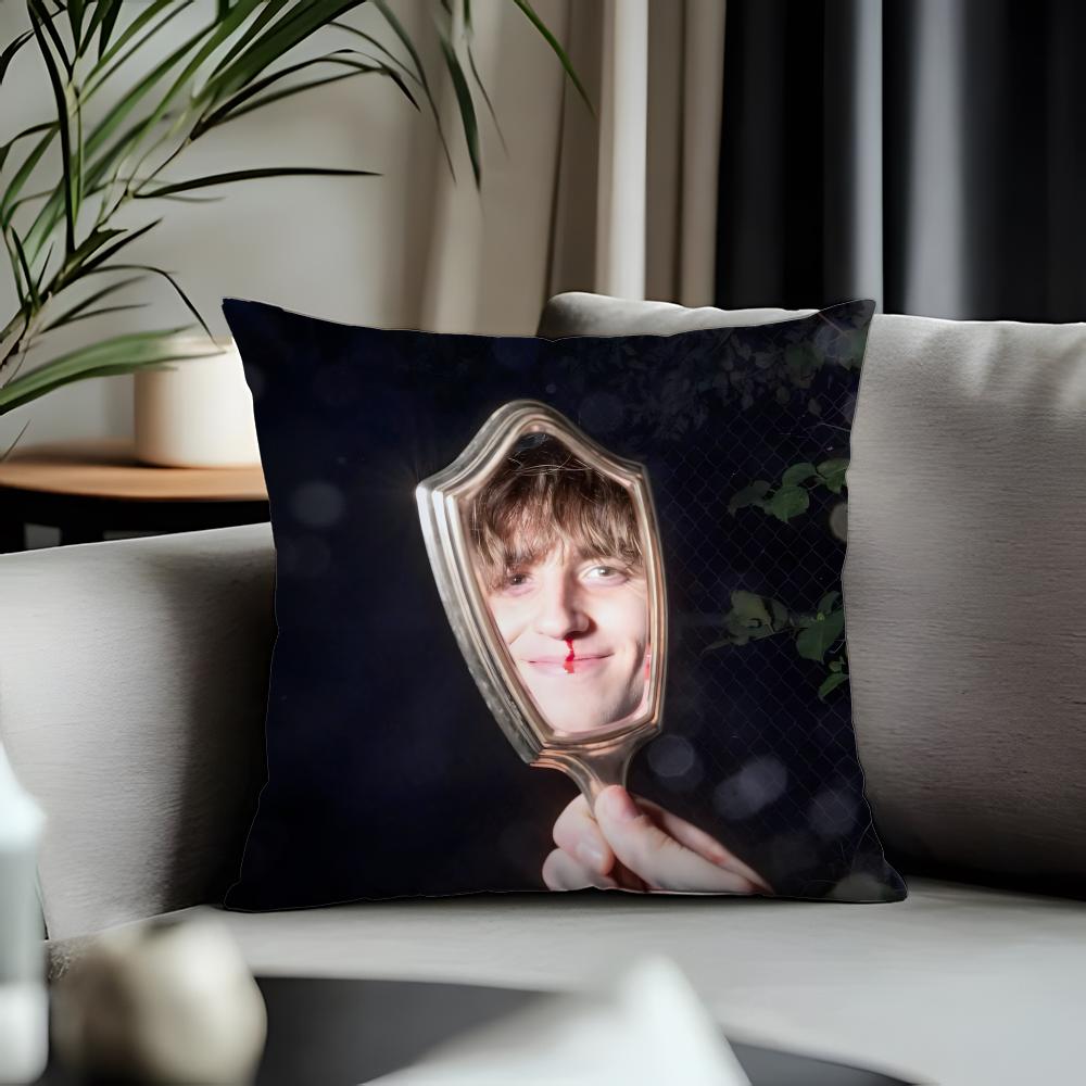 Fashion Ggeeseead Cushion Cover Antidustmite Pillowcase Invisible Zipper Silky Short Plush Sofa Cushion Cover