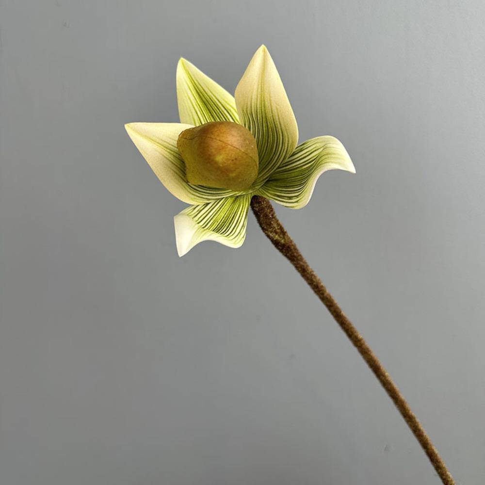 Real Touch Simulation Orchid Single Branch Imperial Slipper Orchid  Bedroom Decoration