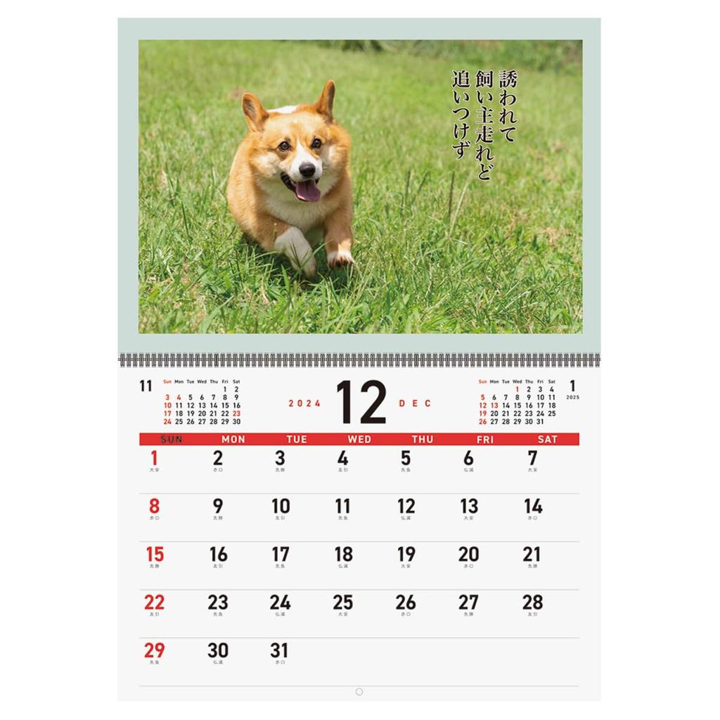 Календарь Корги Сенрю на 2025 год №021