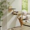 Stacked Cat Cat Lounger Space Saving Suction Suction Pad Cat Shelf Pet Supplies Easy to Clean for Indoor