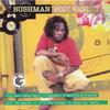 CD BUSHMAN Самый разыскиваемый GRE2029 Greensleeves UK 2003 UK Регги Ска Даб