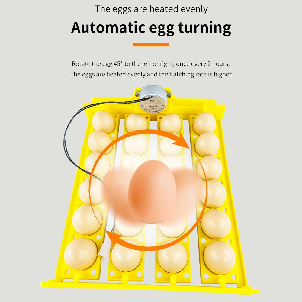 Automatic Egg Turner 24 Eggs Incubator Chicken Egg Incubator For Chicken Goose Quail Automatic Egg Hatching Equipment Hatching Tools 220V