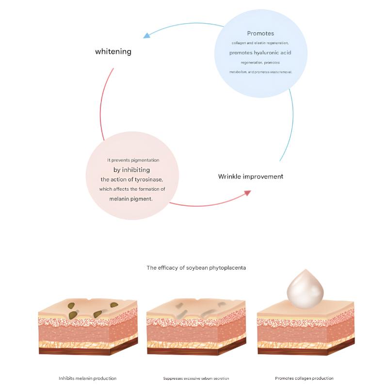 [Bellmona] Раствор стволовых клеток 5 мл x 10 флаконов/RONAS