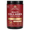 Multi Collagen Protein, Красота и поддержка сна, Ванильный чай, 1 фунт (456 г)