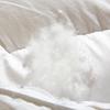 Yiyiai 95% White Goose Down Cotton Sateen Duvet