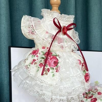 Одежда и обувь – Платья для собак