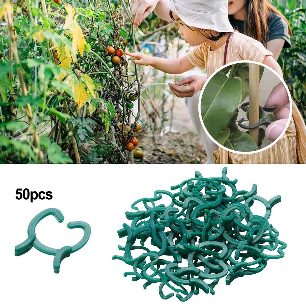 Прививка растений, зажимы для орхидей, замена пластика