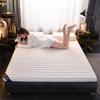 Natural Latex Mattress Rental - Home, Dorm, Hotel Use, Single Double Tatami Mat Topper
