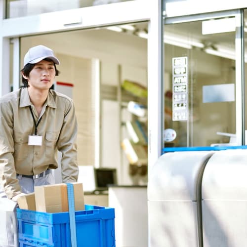 Yanuki 6-Piece Set of 6 Ratchet Lashing Belts, 6m X 2.5cm Wide, 800kg Breaking Load Capacity, Multi-Purpose Load Tie-Down Straps for Securely Fastenin