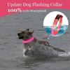 Collier pour chien - Taille M - Étanche - Rechargeable - Super lumineux