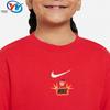 Nike /Детское свободное, простое и удобное спортивно-повседневное платье-туника с круглым вырезом и длинным рукавом Nike Hf7257-657