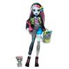 Monster high Кукла Фрэнки-жокей в джинсовой куртке, в комплекте с домашним псом Уотти и аксессуарами, включая шорты, рюкзак, закуски,