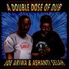LP Record JOE ARIWA, ASHANTI SELAH - A Double Dose Of Dub ARILP259 Ariwa 2016 UK Reggae, Ska & Dub