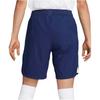 Nike Soccer Bottom Fan Edition Men's DJ7715-429