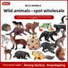 Owl Squirrel Wild Animal Figures Set For Kids Gift Easter Christmas Birthday Cake Decorations Plastic Toy Collection