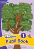 Книга Grammar 1 Pupil Book : In Print Letters (British English Edition)