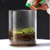 Transparent Desktop Glass Vase Cylinder Micro Landscape Moss Plant Pots  Bonsai Display