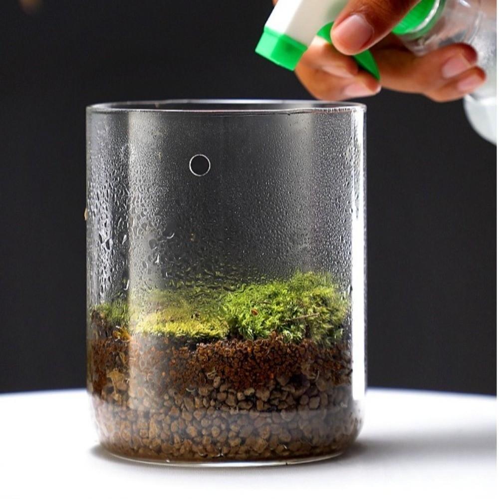 Transparent Desktop Glass Vase Cylinder Micro Landscape Moss Plant Pots Bonsai Display