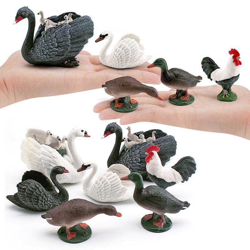 Realistic Figures Animal Model With Ducks Rooster Swans For Decorative Display