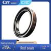 Фторкаучуковое уплотнительное кольцо (O-Ring) и уплотнение штока поршня - KVK & Dingji Industrial Seals