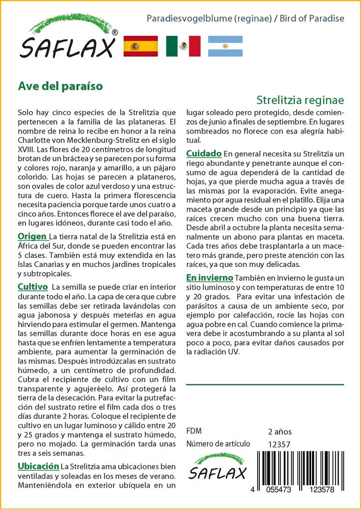 SAFLAX - Gift Set - Bird of Paradise - 5 seeds - With gift box, card, label and potting substrate - Strelitzia reginae