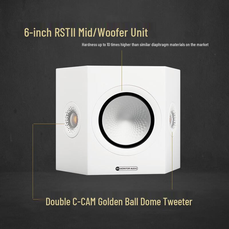 Monitor Audio Silver FX Passive Surround Speaker (CN version)