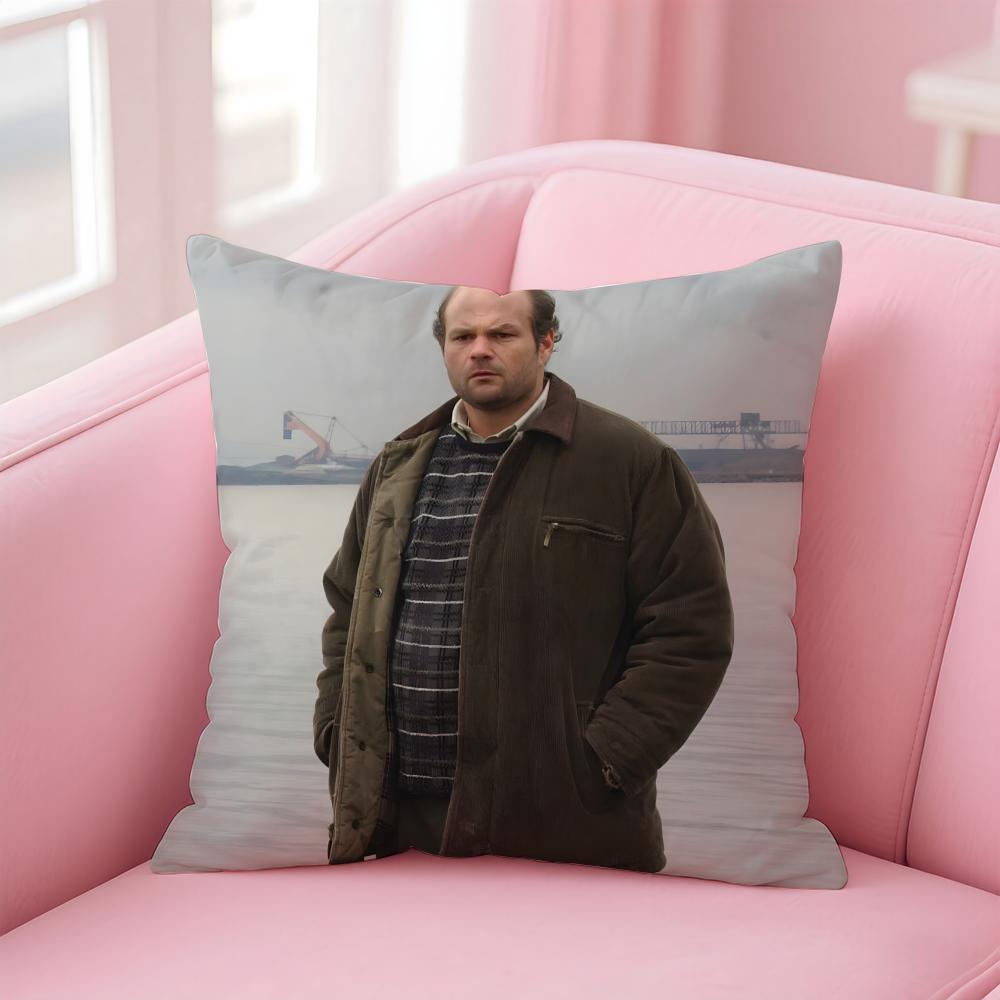 CChris Bauer Cushion Cover Pillow Case Soft Friendly Fabric Concealed Zipper