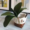 Orchid Leaves Artificial Phalaenopsis Stems Leaf Faux Cymbidium Flower Foliage Green Real Touch Latex Bulk Home Decor