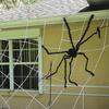 Giant Fake Spider Lifelike Halloween Posable Black Soft Hairy Fake Spiders Scary Decorations for