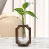 Glass Vase Plant Terrarium Creative Wooden Propagation Station Stand Bonsai Flower Pot for