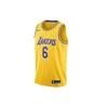 LeBron James Lakers Icon Edition Джерси Желтый/Фиолетовый Мужская уличная одежда CW3669-738