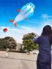 Large Soft Kite Easy To Fly In The Breeze For Adults And Children 3D High Grade New Dolphin Soft Kite