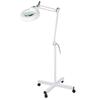 LED Magnifying Floor Light Lamp with 8X Magnifier for Home Reading Research