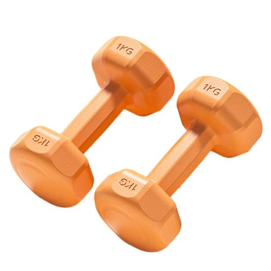 1 пара гантелей, набор гантелей, конструкция с защитой от перекатов, гантели 2-в-1 и штанга для отжиманий, 1 кг, гантели для дома, йоги, фитнеса, силовые тренировки, оборудование для тренировок