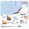 Northern Country Encyclopedia X Complete Set of 6 Types Complete Gacha Capsule Toy