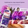 LUX Long-Lasting Fragrance Body Wash Set
