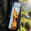 1PC Surprised Tabby Kitten Cat Pattern 750ml Color Plastic Sports Water Bottle Leakproof Flip Straw Lid Suitable for Sports Office Home Use
