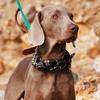 Dog Collar Leather Pet Medium Large Dogs Leash Set With Scarf Adjustable Sizes