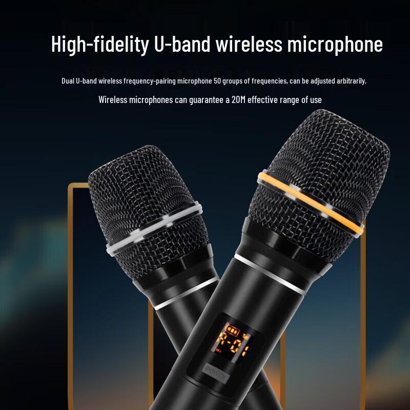 Huidu DP-121T Portable Outdoor PA & Karaoke Speaker (CN version)